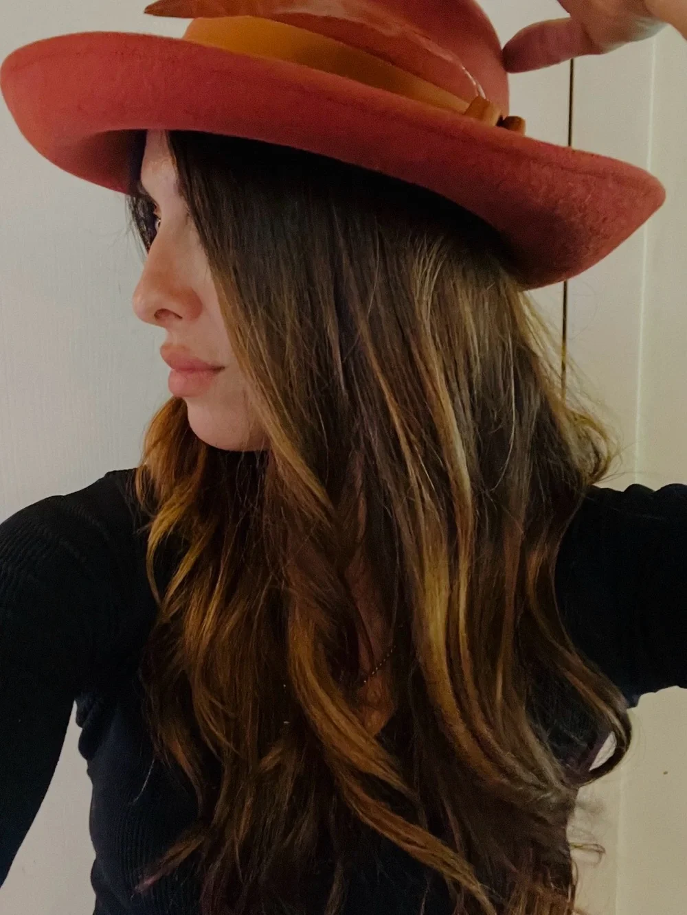 VTG 70s Ladylike Ralph Style Felt Wool Equestrian Old Money Wide Brim Boho Hat - Picture 7 of 7